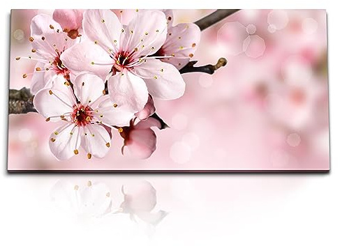 Paul Sinus Kunstdruck Bilder 120x60cm Kirschblüte Blüte Frühling Ast Rosa Baumblüten