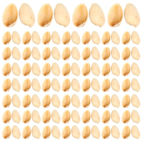 DECHOUS Paquet 500G de Coquilles de Pistaches DIY pour Bricolage Garçon et Filles Matériel de Loisirs Créatifs pour Peinture Décorative Accessoires Faits à la Main Kit Loisirs Créatifs