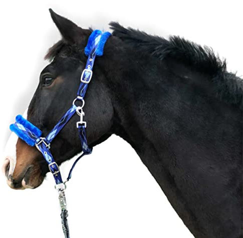 Halfter für Pferde Fell Halfter unterlegt Halfter blau in den Größen xfull Halfter, Pony, Cob, Warmblut (Blau, Vollblut (Cob))
