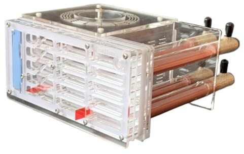 Ameisenformikarium, 4 Reagenzglas-Acryl-Ameisen. Königinrasse. Mehrfarbiges pädagogisches Geschenk for Kinder(B)