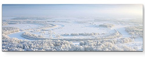 Paul Sinus Art Leinwandbilder | Bilder Leinwand 150x50cm Wald im Winter – Draufsicht