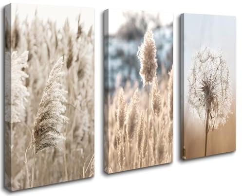 Visario Leinwandbild 120x80 cm 4427 Boho Pampasgras Pusteblume fertig gerahmt auf Holzrahmen - Wandbild modern Natur Gräser Trockenblumen beige creme Wanddekoration Wohnzimmer Schlafzimmer Büro