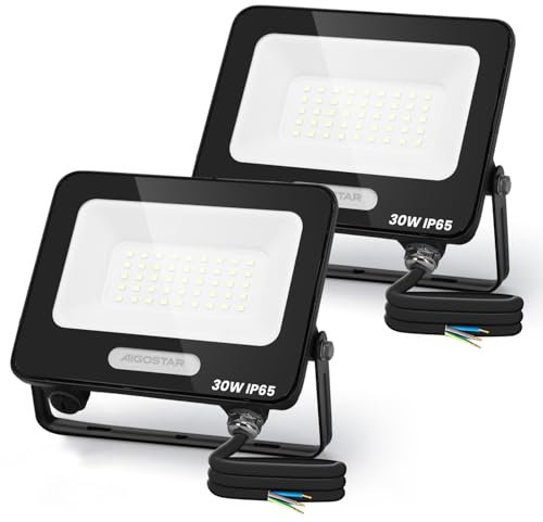 Aigostar Projecteur LED Extérieur 30W 2450lm Projecteur Exterieur LED Blanc Froid 6500K IP65 Imperméable, pour Jardin,Patio,Cour,Garage. 2 pcs