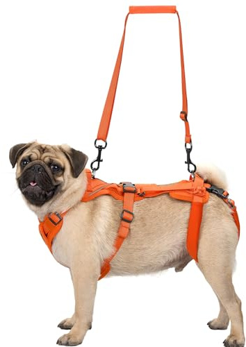 OneTigris Imbracatura per cani, Hopper piccolo supporto imbracatura regolabile con 2 manici per supporto e riabilitazione, adatta per cani di piccola taglia, arancione, S