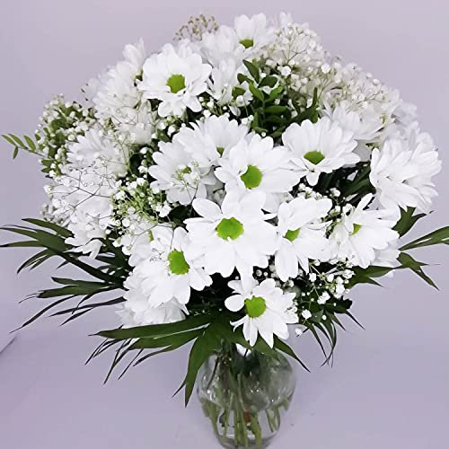 EL JARDÍ D´ESTHER-Ramo de flores naturales a domicilio-Flores frescas-Entrega gratis en 24 horas de Lunes a Sábado-Tarjeta dedicatoria-Esperanza Blanco