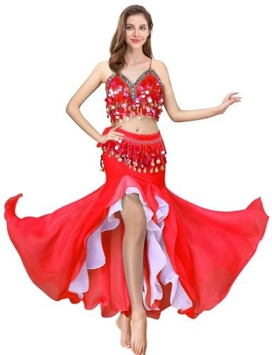 ELLYDOOR Belly Dance Costume Set for Women Belly Dance Crop Top Bra and Hip Scarf Slit Dance Skirt Halloween Outfit