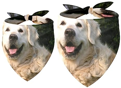 Hundehalstücher im 2er-Pack, dreieckiger Haustierschal, transparenter Chiffon-Stoff, Halstuch für kleine, mittelgroße und große Hunde und Katzen,Tierischer Golden Retriever