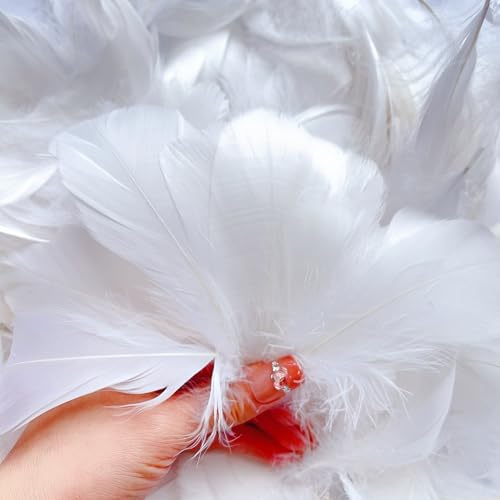 Audamp Federn 300 Stück Weiß Federn zum Basteln für DIY Ohrring, Hochzeit, Traumfänger, Kopfschmucksfedern | 300 Stück, Farbmischung, 6–12 cm, vielseitige DIY-Anwendungen