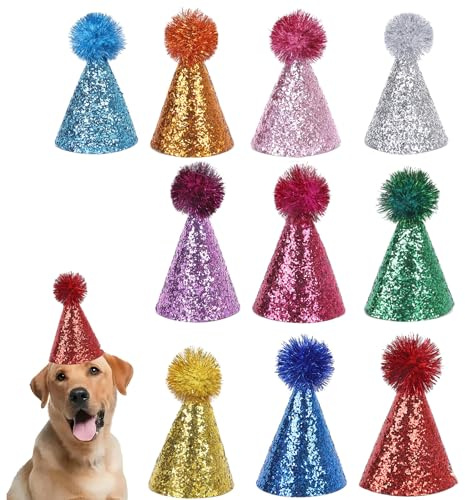 BAIYSFFG 10 x mehrfarbige Partyhüte, Mini-Hunde-Geburtstagshüte, verstellbarer Pompon-Katzenhut, Kleintier-Kostüm-Zubehör