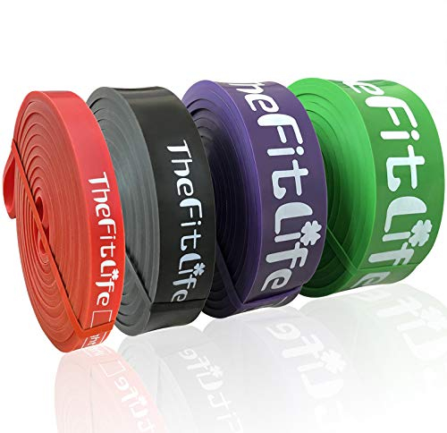 TheFitLife Resistance Pull Up Bands - Pull-Up Assist Exercise Bands, Long Workout Loop Bands for Body Stretching, Powerlifting, Fitness Training, Bonus Carrying Bag and Workout Guide (Full Set))