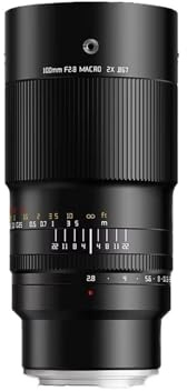 camera lens, Obiettivo Macro 2x Da 100 Mm F2.8 For Fotografia, Compatibile Con Sony E Fuji XF GFX Canon RF EF Nikon ZFL Mount Z6 XT100,For photography(L-Mount)