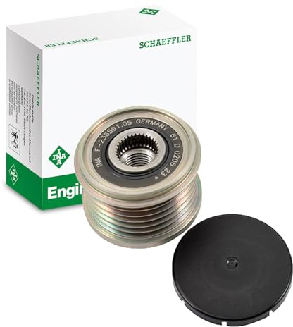 INA 535 0194 10 Polea libre del alternador Compatible con PEUGEOT 208 I Hatchback CA, CC 2008 I A94, CU 308 SW II LC, LJ, LR, LX, L4, FORD Fiesta Mk6 Hatchback CB1, CCN, JA8, JR8, CITROËN C3 II SC