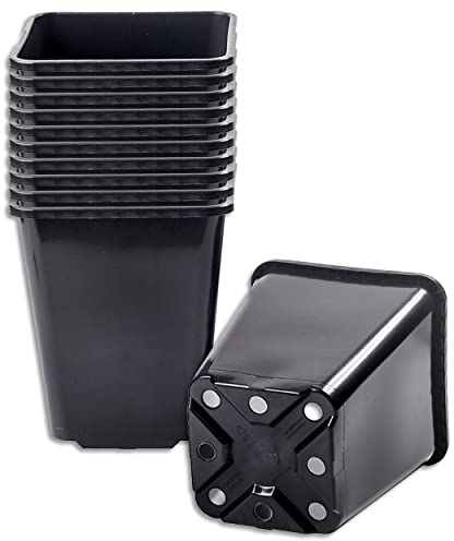 Wohnkult 10 x Anzuchttopf Pflanztopf 5,6 L schwarz 20 x 20 cm x 23 cm Blumentopf Blumenkübel Pflanztöpfe