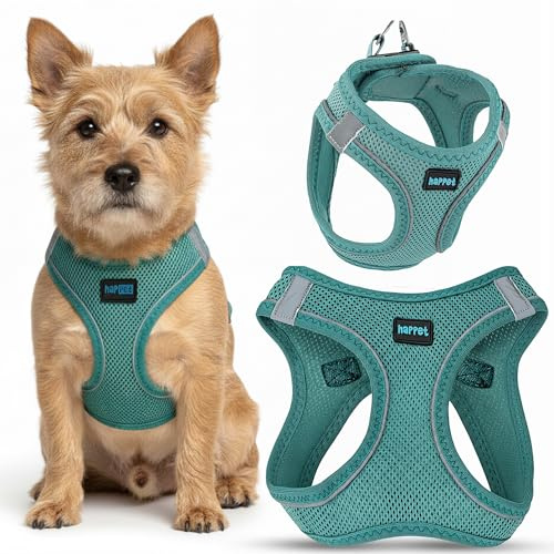 Happet Hundegeschirr M für kleine & mittelgroße Hunde – atmungsaktives Air-Mesh Brustgeschirr, gepolstert, leicht & verstellbar, reflektierend, komfortabel & sicher, Softgeschirr für Hunde, Türkis