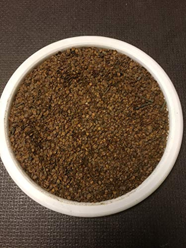 - Erlensamen Vogelfutter (1 kg) - besonders fettreich für alle Körnerfresser drinnen und draussen