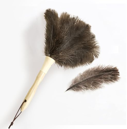 1 plumeau en plumes d'autruche, plumeau avec plumes d'autruche, tête d'autruche avec manche en bois