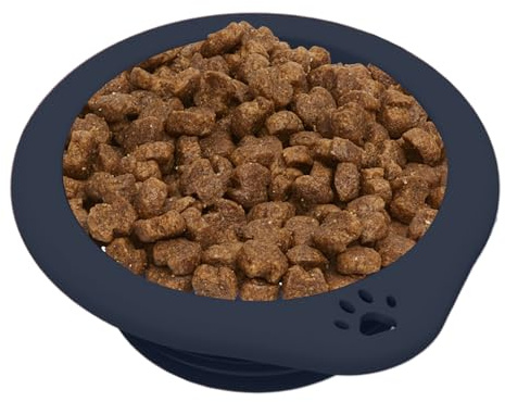 Bol Pliable pour Chien | 300ml Bol Pliable avec - Récipients d'eau en Silicone - pour Voyage Camping Randonnée Sac à Dos Extérieur Chiens de Petite Moyenne et Grande Taille