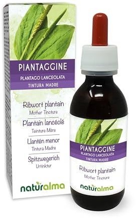 Llantén menor o Siete venas (Plantago lanceolata) hojas Tintura Madre sin alcohol Naturalma - Extracto líquido gotas 120 ml - Complemento alimenticio - Vegano