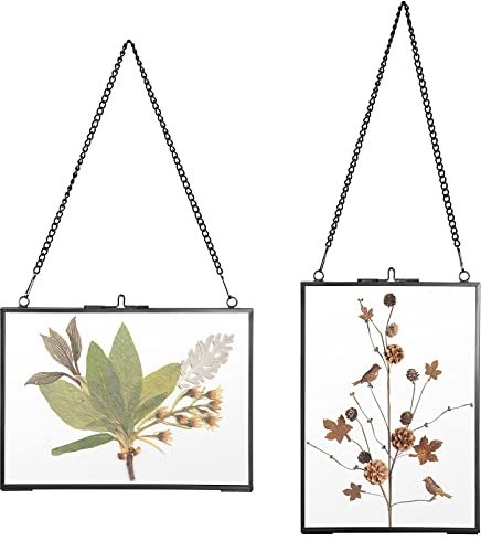 SUMTree 2Pcs Bilderrahmen aus Glas und Metall Hängende Glas Fotorahmen Pflanze Probe Clip Für gepresste Blumen Fotos Nur Glasrahmen(Schwarz,13x18cm,Rechteck)
