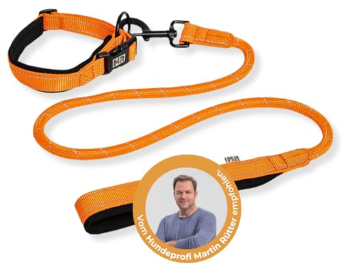 Martin Rütter Hundehalsband & Leine, Kombi-Set, Größe L, Neonorange – extra weich gepolstert, stark reflektierend, stufenlos verstellbar, komfortable Handschlaufe
