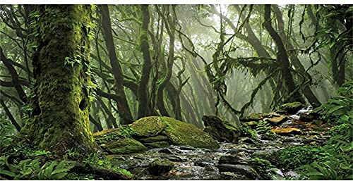 AWERT Hintergrund für Nebelwald, Terrarium, Bachlauf, grün, riesiger Baum, Reptilien-Lebensraum, Hintergrund, tropischer Regenwald, Aquarium-Hintergrund, 90 x 60 cm