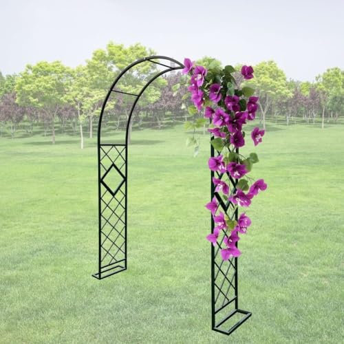 Arco de Jardín Grande Extra Ancho de 140 a 340cm, Enrejado Resistente para Rosales, Plantas Trepadoras Metal Archway de Rosas Enrejado Resistente 220/240cm de Alto(Black,Height: 240 Width: 260cm)
