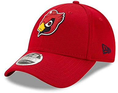 New Era St. Louis Cardinals Clubhouse Collection 9Forty Stretch Snapback Cap