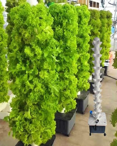 RRrawgff Torre da Giardino idroponica Verticale (10/15/20/25/61 Fori) Adattatore per Torre idroponica + Vasi in Rete per Pompa dell'Acqua + Serbatoio dell'Acqua Mobile per Erbe aromatiche da Interno,