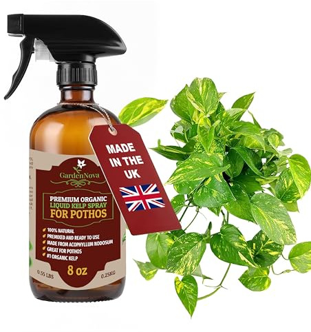 GARDENNOVA Professional Organic Liquid Kelp Spray for POTHOS - 8 oz - Ready-to-Use Fully Organic Seaweed & Kelp Fertilizer Mist