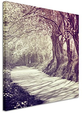 60x60cm Wandbild Fotoleinwand Bild in Mauve Allee Kirschbäume Thailand