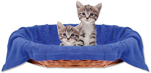 Bestlivings Haustierdecke Katzendecke Kuscheldecke Tierdecke, angenehm und super weich in vielen erhältlich (60x80 cm/blau - königsblau)