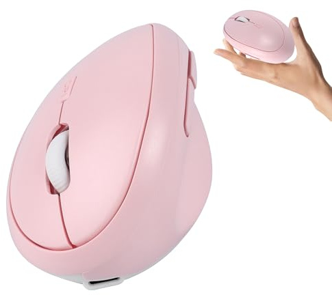 Souris sans fil ergonomique Bluetooth et USB, double mode, verticale, silencieuse, portable, multi-appareils, souris du canal carpien, souris pour Mac/PC/ordinateur portable/ordinateur/tablette/iPad