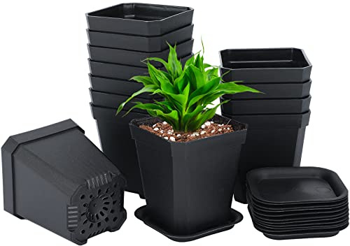 KINGLAKE 12Stück 7CM Anzuchttöpfe Pflanztöpfe Anzucht Ackig Klein Mit Untersetzer, Verdickte Blumentöpfe Kunststoff Vierkant Mini Töpfe, quadrate Für Samen Sukkulenten-Schwarz