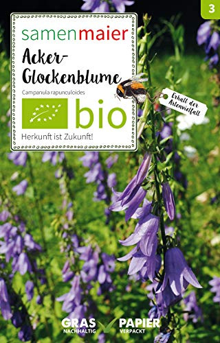 BIO Wildblumen - Acker-Glockenblume Samen - Lila Blüten, Höhe 30-100 cm, Zweijährig, Aussaat März-Juli, Inhalt für ca. 15 Pflanzen - Samen Maier