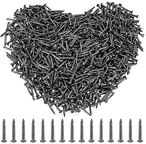 Nägel Sortiment Set, Um3000 Stück Kleine Nägel, Wand Nägel zum Aufhängen von Bildern, Kunstnägel, Rundkopf Bildernägel, Wandnägel für Bilderrahmen Holzbearbeitung, 3x10mm-Schwarz