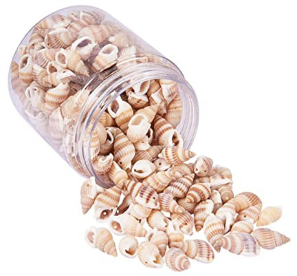 DIYEAH Juguetes De Joyería De Mini Conchas Marinas Para Manualidades Conchas De Playa Naturales Para Decoración De Hogar Fiesta De Playa Boda y Jarrón