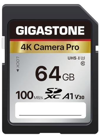 GIGASTONE 64GB SDXC Speicherkarte, 4K Kamera Pro, bis zu 100 MB/s für Digitalkameras Canon Olympus, 4K UHD Videoaufnahmen UHS-I U3 V30 Klasse 10