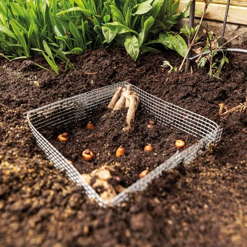 Wühlmausgitter Zuschnitt (5erSet) Hochbeet & Garten drahtgitter feinmaschig wühlmausdraht Gitter drahtgeflecht 15 x 15 x 11,3 cm 6 x 6 mm Maschung