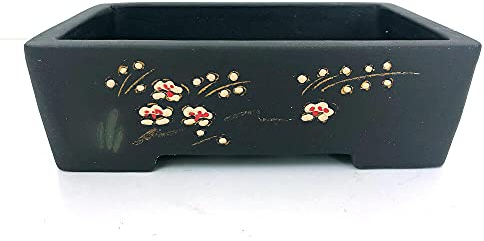 Garden Center shop by VM Tiesto Bonsai Rectangular con Dibujos DE 22.5X6CM