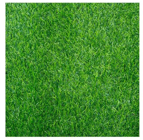ZBORAVPIX Erba Artificiale Tappeto erboso, Tappeto in Erba Sintetica for Esterni, for balconi, for Esterni, 20 mm, ad Alta densità, for Giardino(3x5m)
