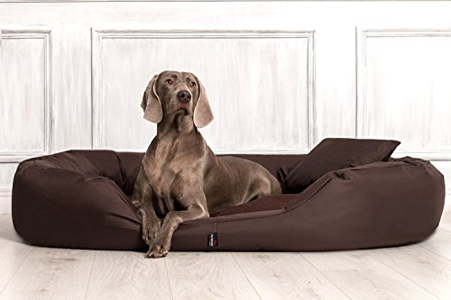 tierlando® Orthopädisches Hundebett Sammy mit viscoelastischer Matratze und hohem Rand aus robustem Polyester für gelenkschonenden Schlaf und höchsten Komfort Größe: 170x110cm | Farbe: 01 Braun