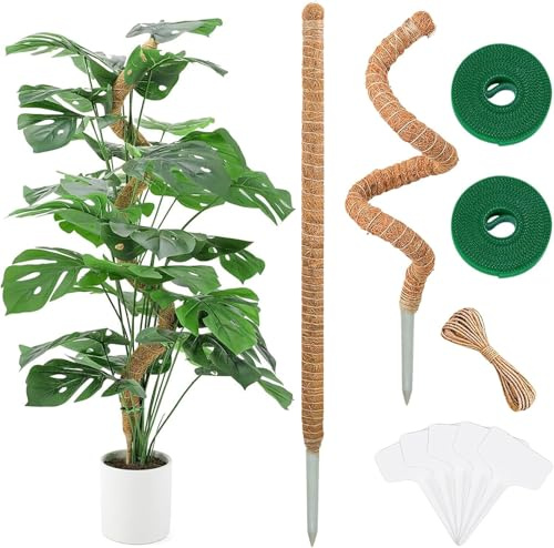 Mailfull 2 Pezzi Bastone per Piante Rampicanti 63 cm Fibra di Cocco per Piante Pieghevoli con Corda di Iuta e Chiusura Adatto alla Crescita di Monstera e Altre Rampicanti