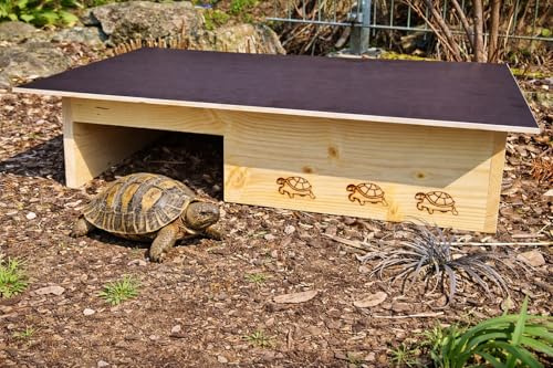 Woid Herz Premium Maison pour tortue en bois massif de 20 mm (SH14) - Enclos pour tortues - Laqué