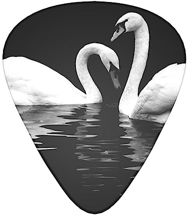 Love Swans Paar bedruckte Gitarrenplektren, personalisierbar, 12 Stück, für Akustikgitarre, E-Gitarre und Bass, Einheitsgröße