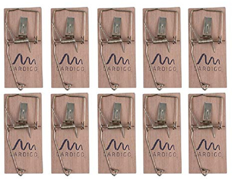 Gardigo Mausefalle 10er Set, umweltfreundlich, für innen & außen | Ohne Gift, ideal für den Einsatz in Innen- und Außenbereichen.
