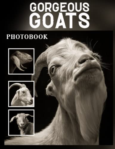 Photo Book Of Gorgeous goats: Gorgeous goats Picture Book For Photos With 30+ Pictures Photos, 2023 Photobook Photography Christmas Gifts For Men Women Mom Dad