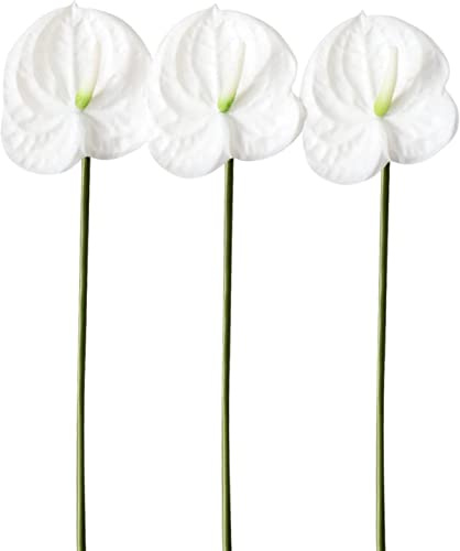 HAOSHICS Künstliche Anthurium-Lilien, permanente Blume, 3 Stück, tropische Imitation, Blumensträuße für Tischdekoration, Braut, Hochzeit, Festival, Dekoration (E)