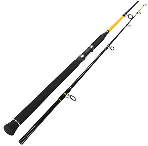 Team Deep Sea Heavy Spin 240cm 100-400g Glasfaser Meeresrute für Norwegen | Nahezu unzerstörbarer Glasfaserblank, 240cm, 100-400g, SIC-Beringung – schwere Meeresrute für Norwegen & Ostsee
