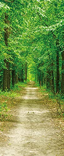 A.Monamour Türtapete Selbstklebend Türfolie Türposter 3D EIN Weg Straße Zwischen Grünen Bäumen Wald Naturlandschaft Vinyl Folie Türdeko Tapete Wandbild Türaufkleber Türtattoo 90 x 200 cm