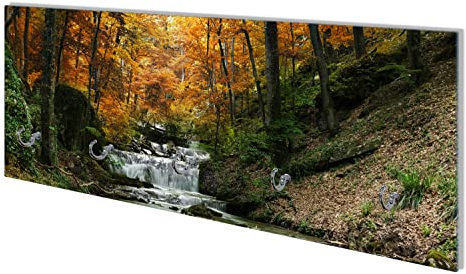 Wallario Wandgarderobe aus Glas in Größe 80 x 30 cm mit Memoboard-Funktion, Motiv: Kleiner Bach über Steine im Herbstwald | 5 Kleiderhaken zum Aufhängen von Jacken